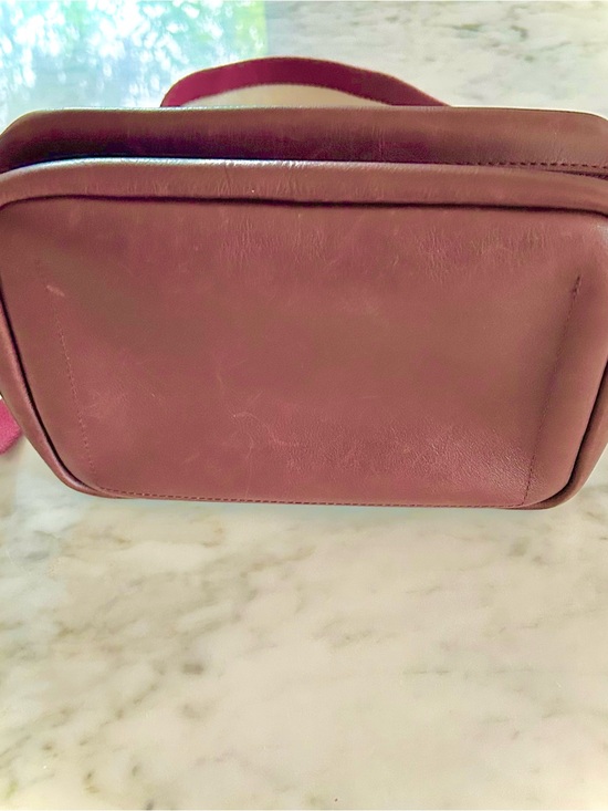 Madewell The Transport Camera Bag Handbag with Striped Strap